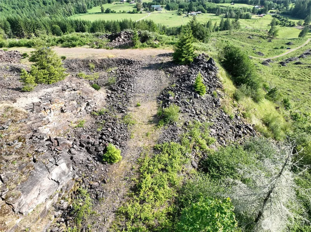 0 NE 206th Avenue Amboy WA 98601