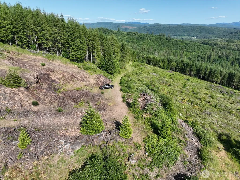 0 NE 206th Avenue Amboy WA 98601