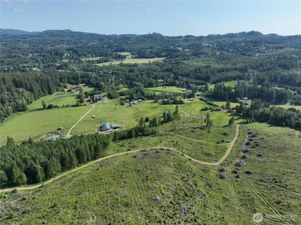 0 NE 206th Avenue Amboy WA 98601