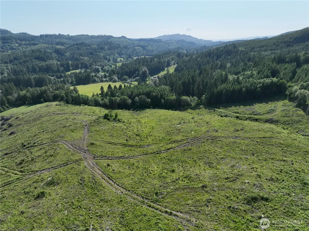 0 NE 206th Avenue Amboy WA 98601