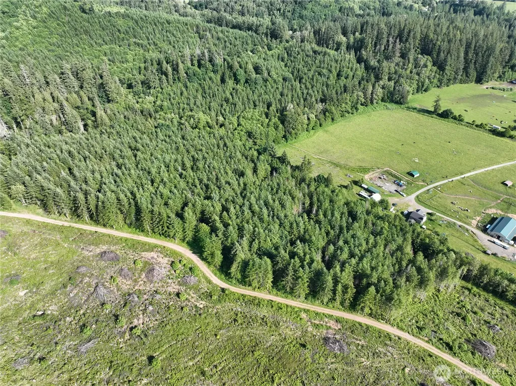 0 NE 206th Avenue Amboy WA 98601