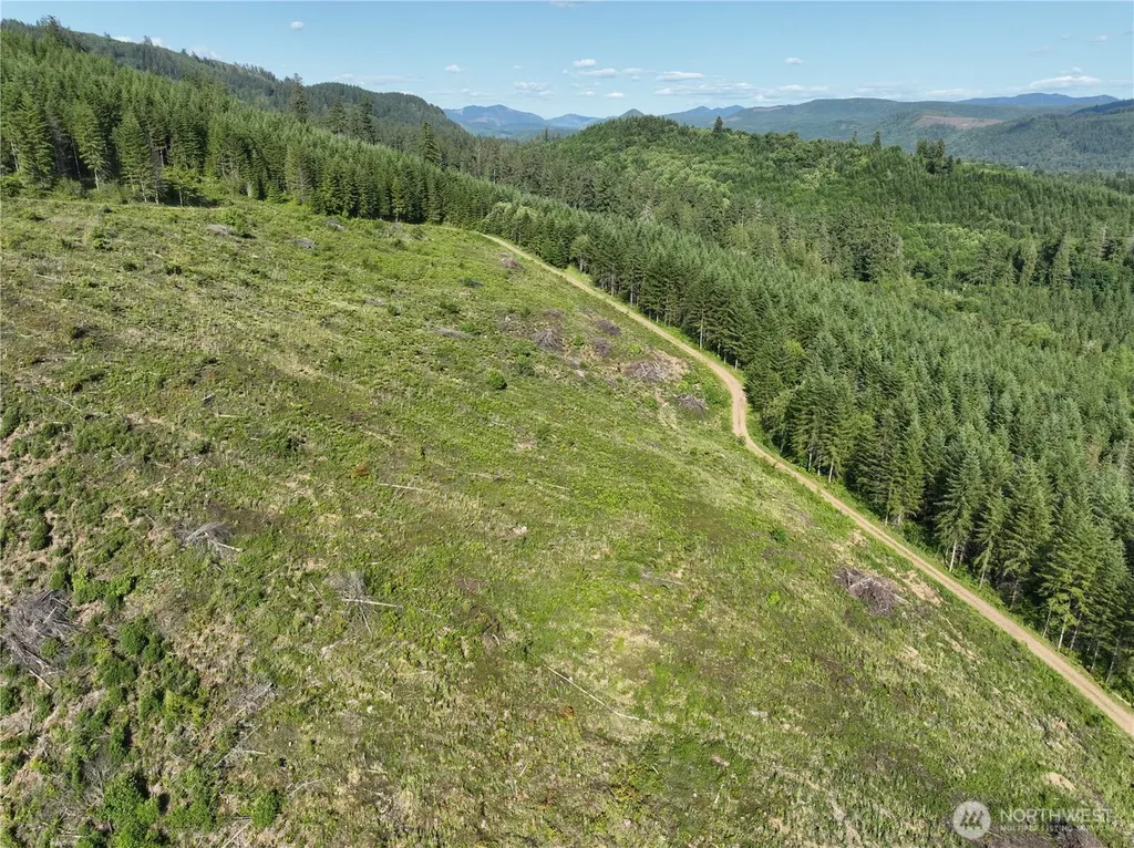 0 NE 206th Avenue Amboy WA 98601