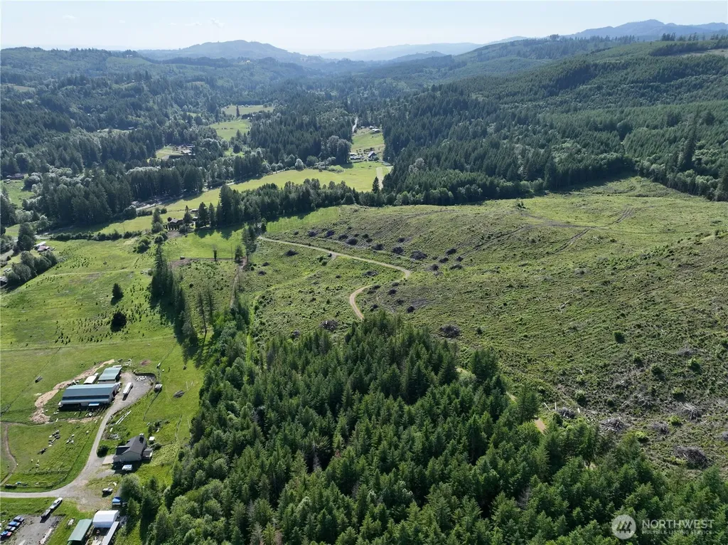0 NE 206th Avenue Amboy WA 98601
