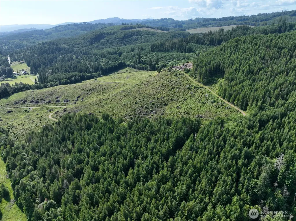 0 NE 206th Avenue Amboy WA 98601