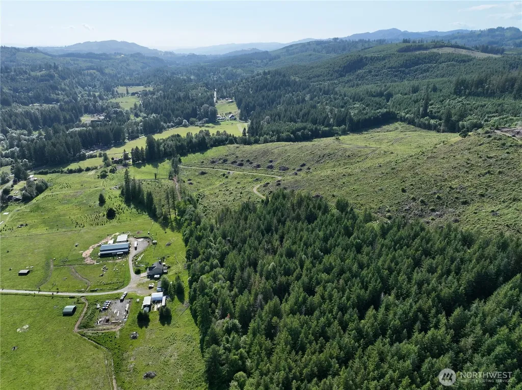 0 NE 206th Avenue Amboy WA 98601