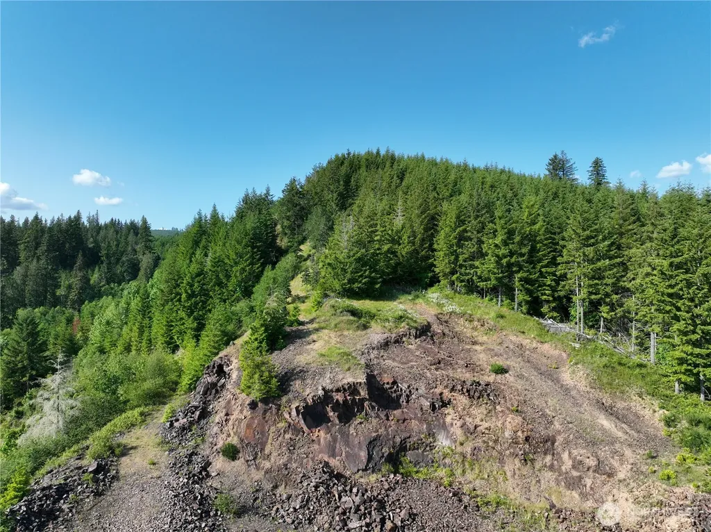 0 NE 206th Avenue Amboy WA 98601