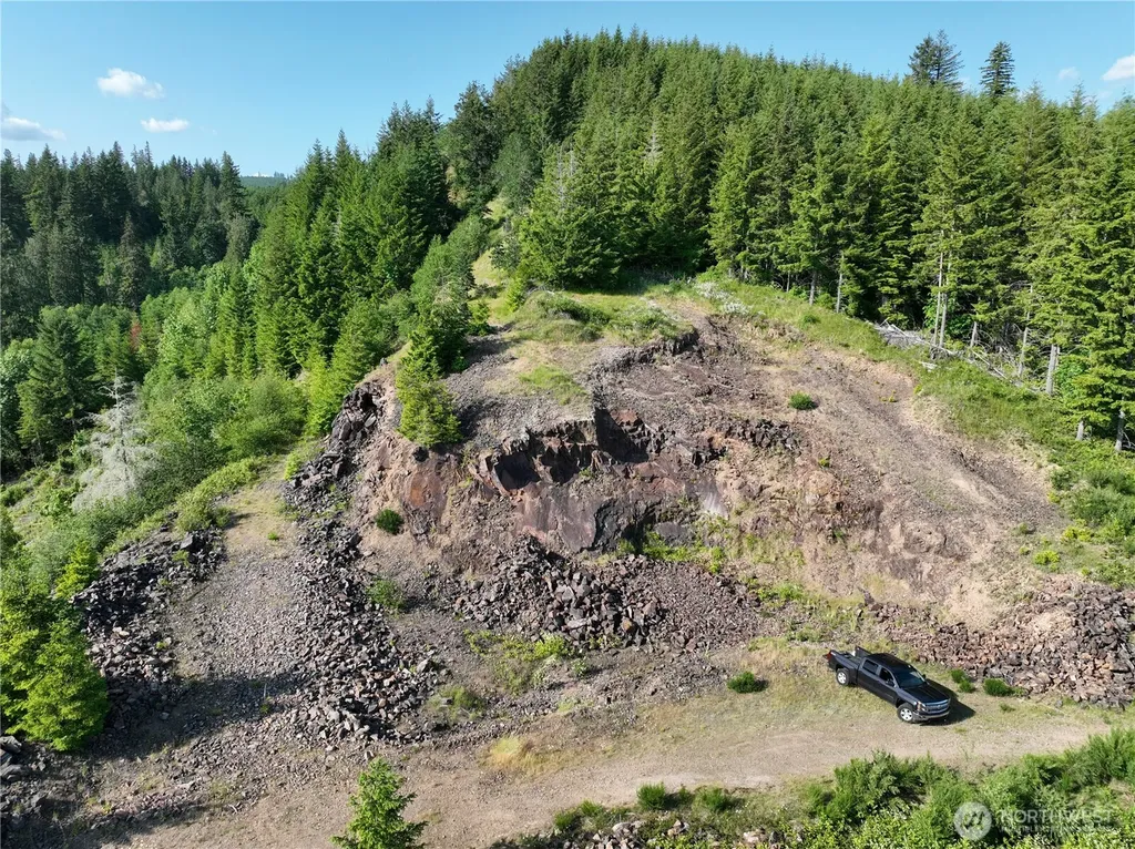 0 NE 206th Avenue Amboy WA 98601
