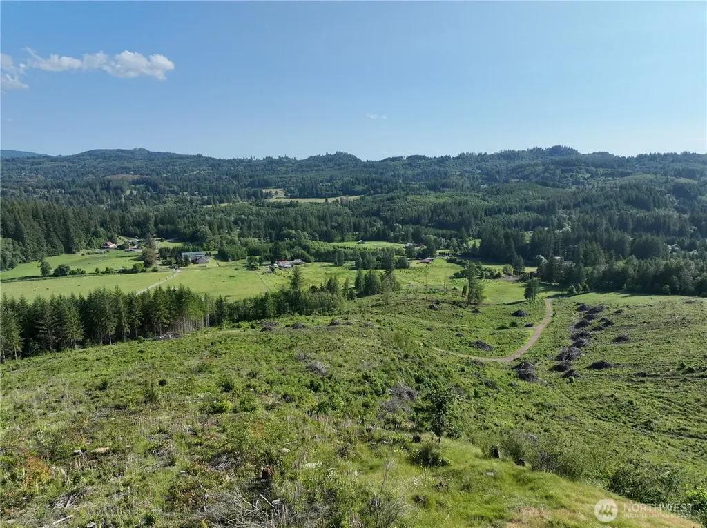 0 NE 206th Avenue Amboy WA 98601