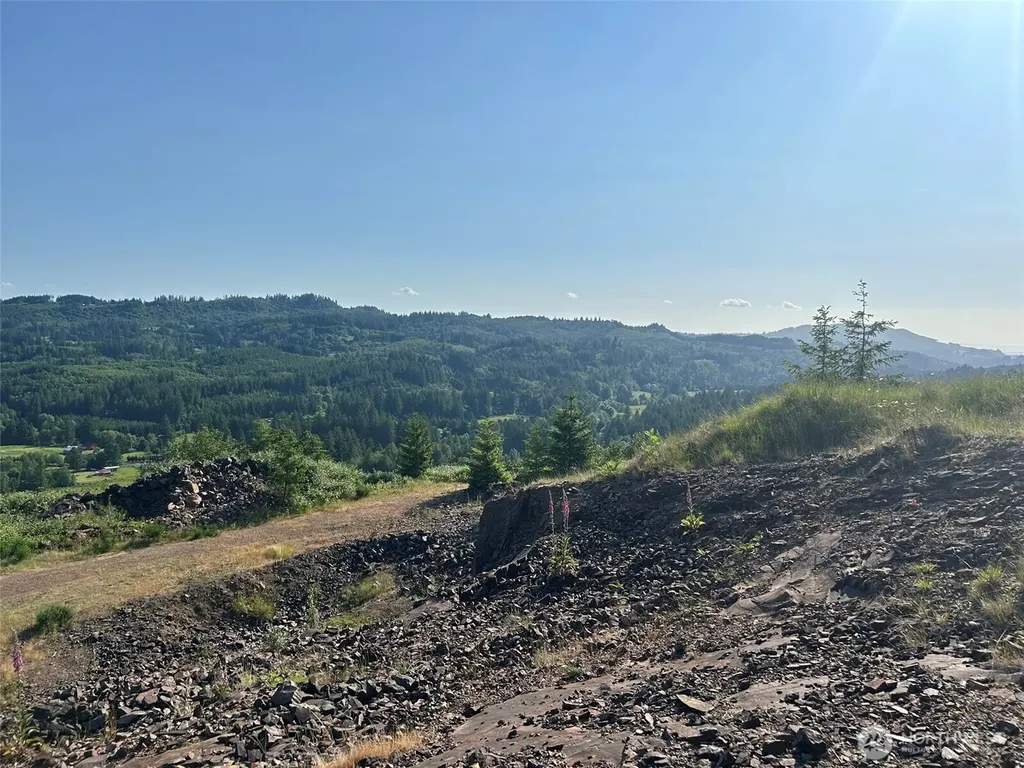 0 NE 206th Avenue Amboy WA 98601