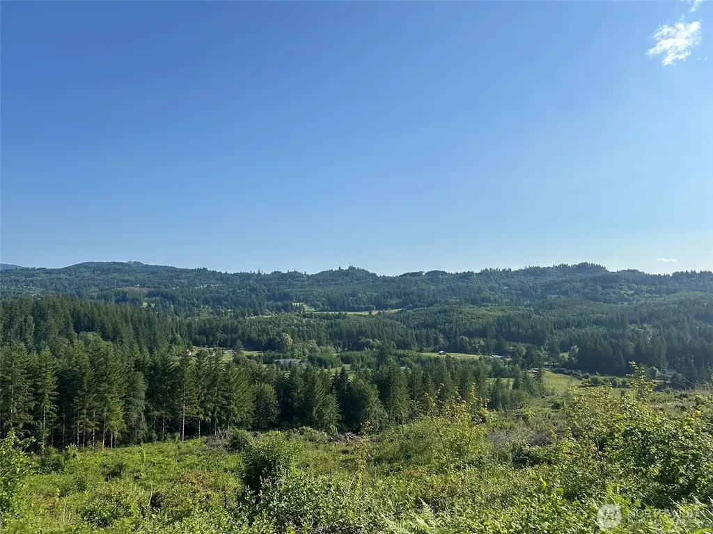 0 NE 206th Avenue Amboy WA 98601