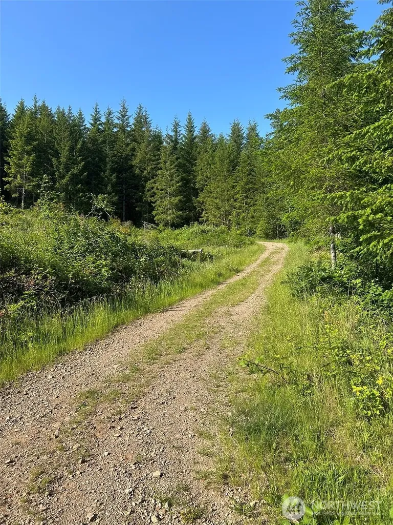 0 NE 206th Avenue Amboy WA 98601