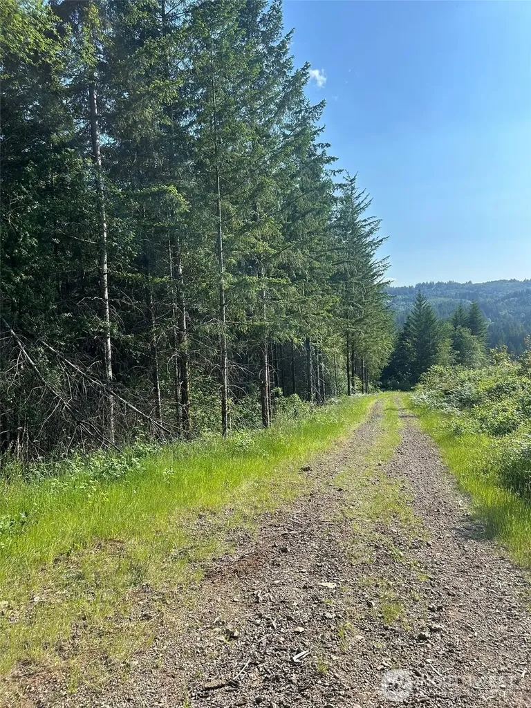 0 NE 206th Avenue Amboy WA 98601