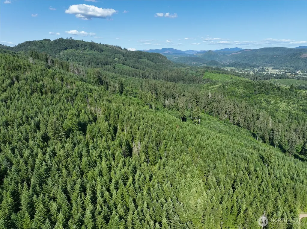 0 NE 206th Avenue Amboy WA 98601
