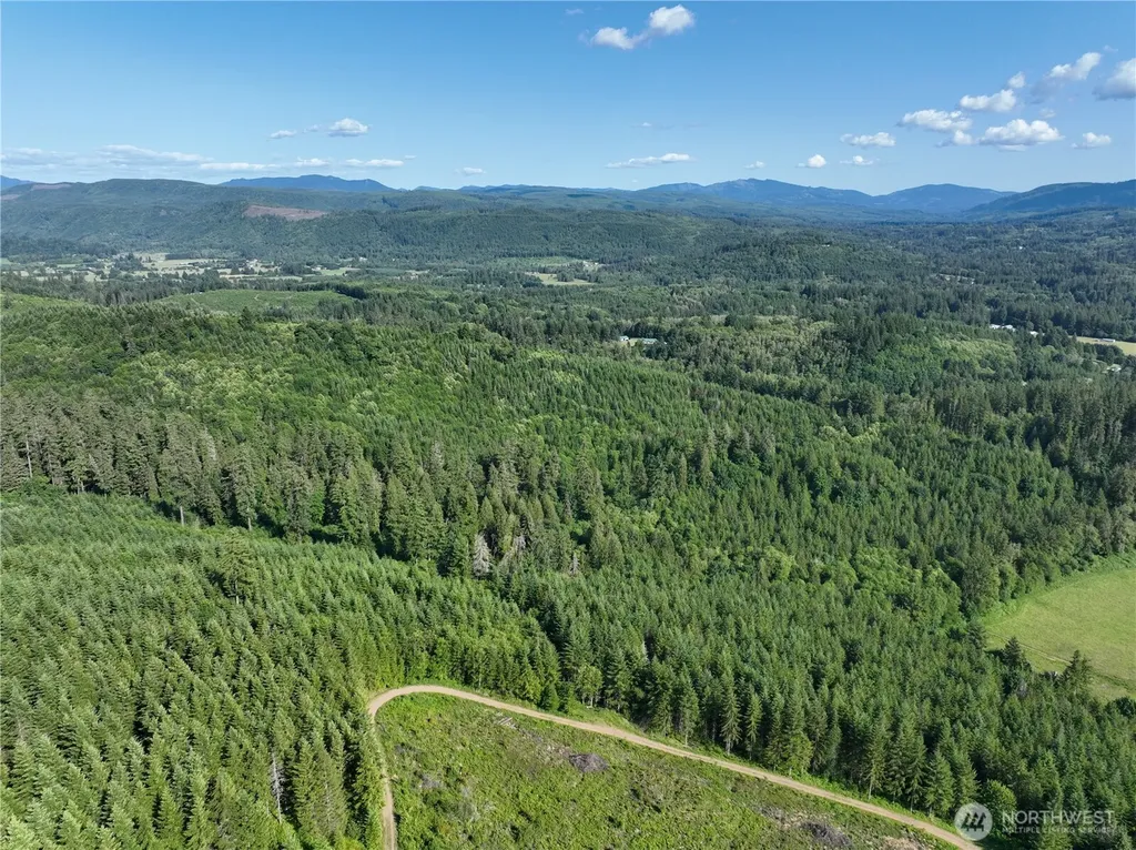 0 NE 206th Avenue Amboy WA 98601
