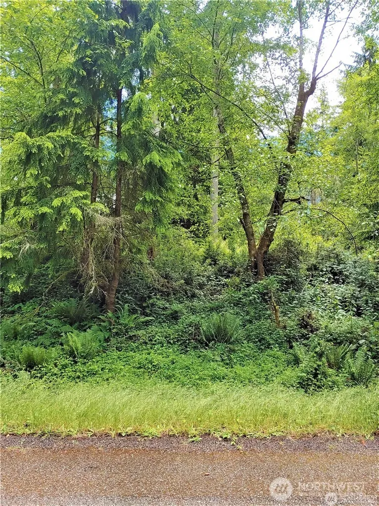 11909 Country Club Drive Anderson Island WA 98303