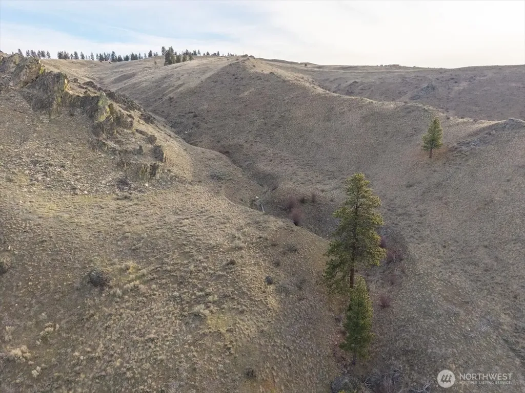 0 Parcel A - 13 Honeygold Drive Orondo WA 98843