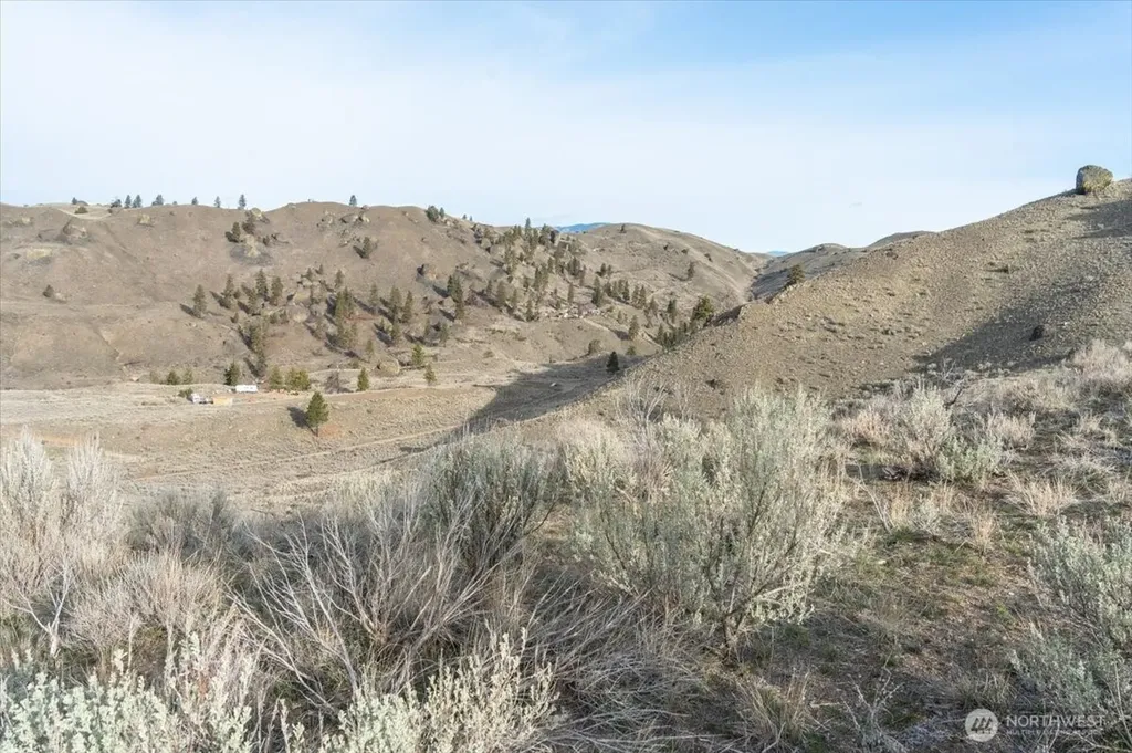 0 Parcel B - 13 Honeygold Drive Orondo WA 98843