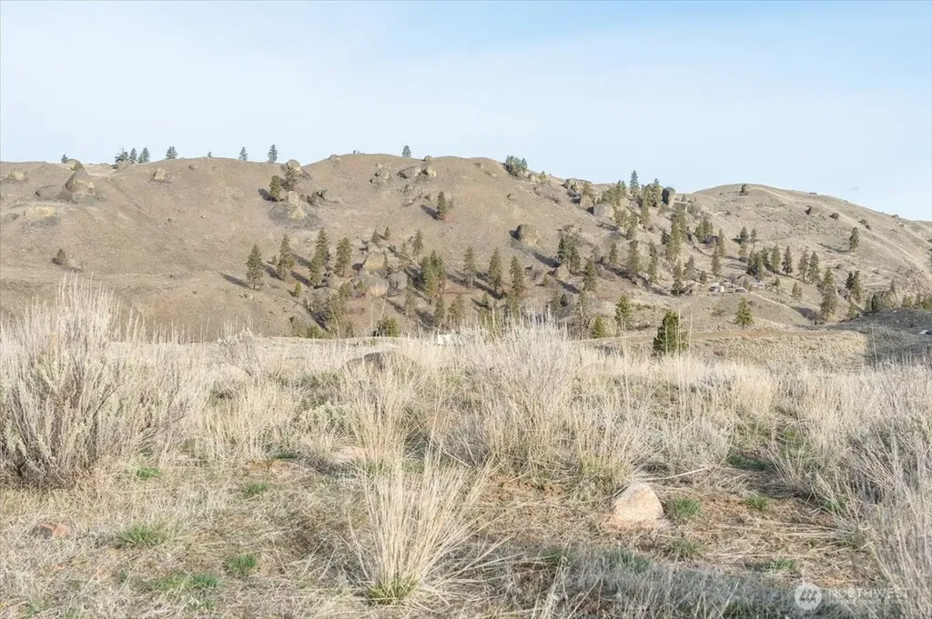 0 Parcel B - 13 Honeygold Drive Orondo WA 98843
