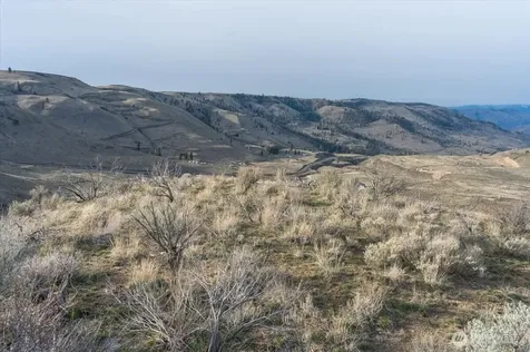 0 Parcel B - 13 Honeygold Drive Orondo WA 98843