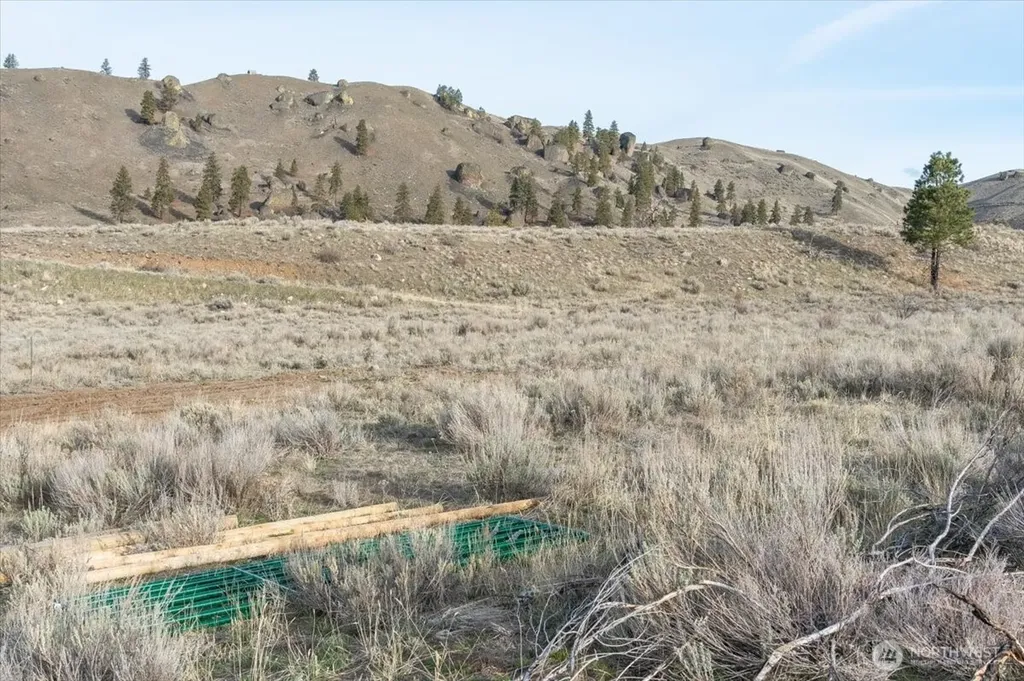 13 Honeygold Drive Orondo WA 98843
