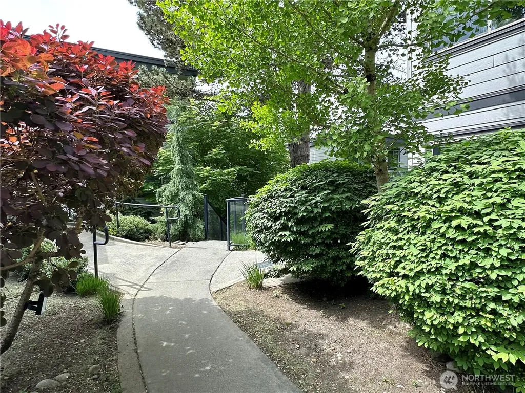 3212 SE 81st Place Mercer Island WA 98040