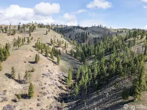 12 Mile Entiat River Road Entiat WA 98822