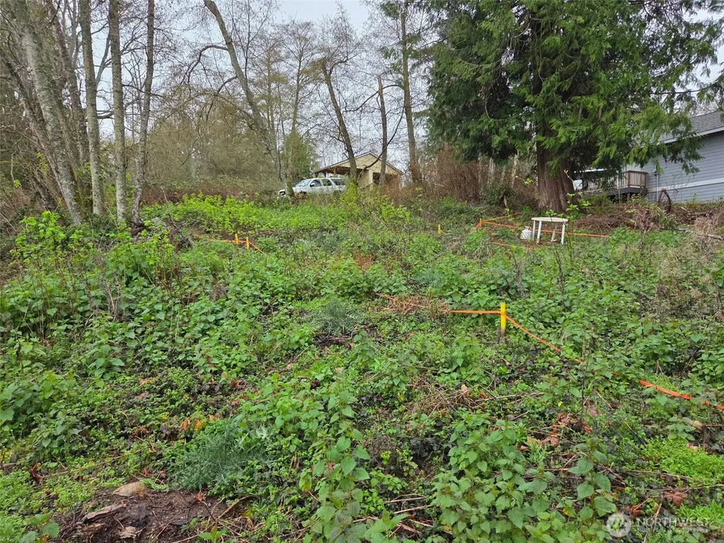 61 Cascade Drive Hat Island WA 98206