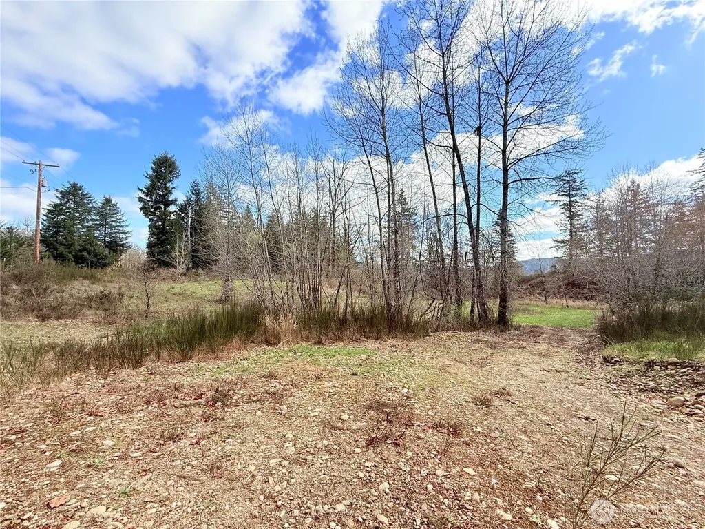 2126 Spencer Road Salkum WA 98582