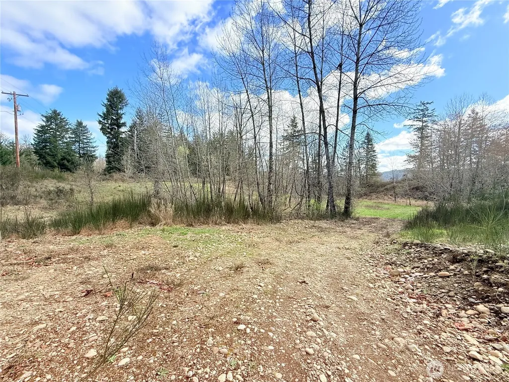 2126 Spencer Road Salkum WA 98582