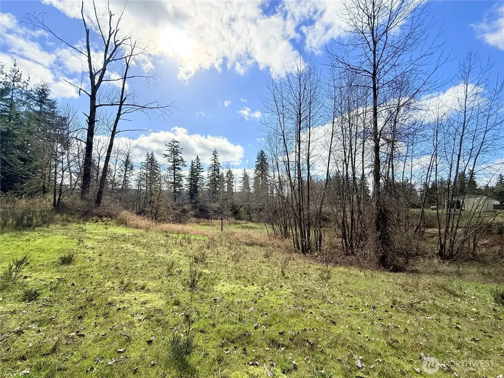 2126 Spencer Road Salkum WA 98582