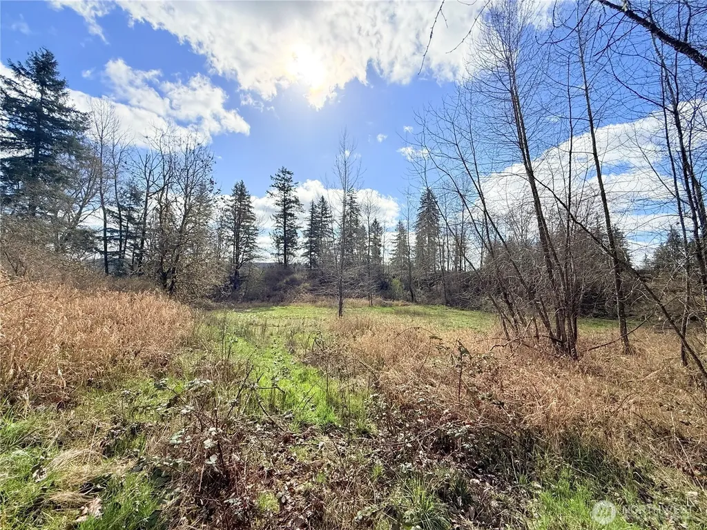 2126 Spencer Road Salkum WA 98582