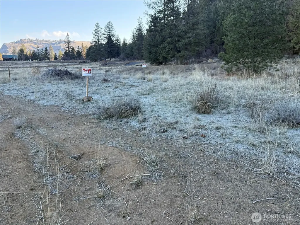 99147 Sterling Valley Road N Lincoln WA 99147