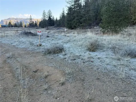 39135 Sterling Valley Road N Lincoln WA 99147