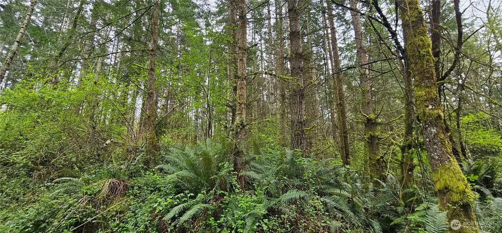 0 House Place Camano Island WA 98282