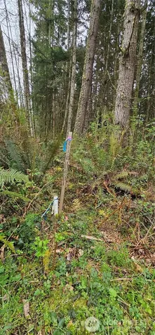 0 House Place Camano Island WA 98282