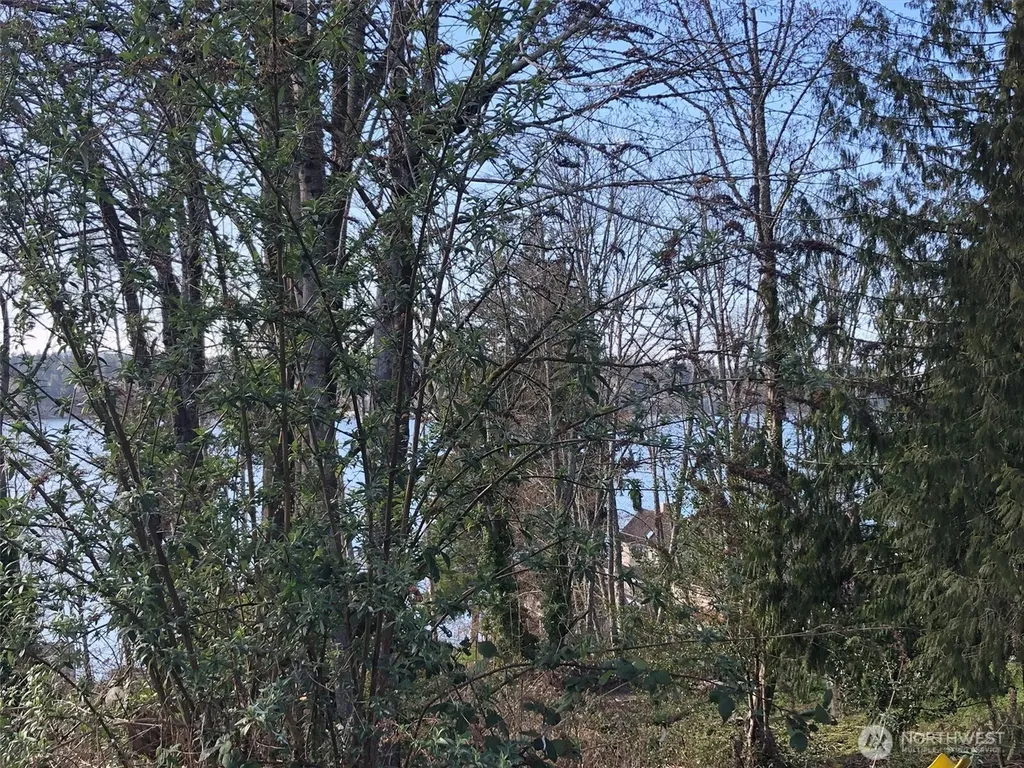 1919 Berry Street NE Olympia WA 98506