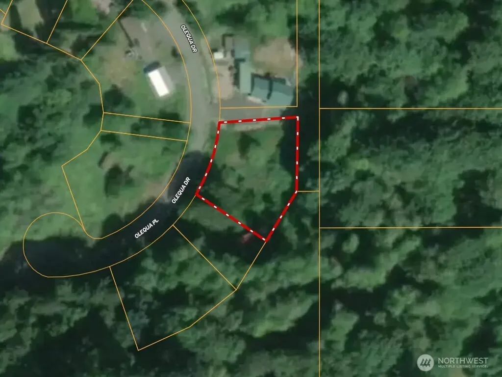 177 Olequa Drive Vader WA 98593