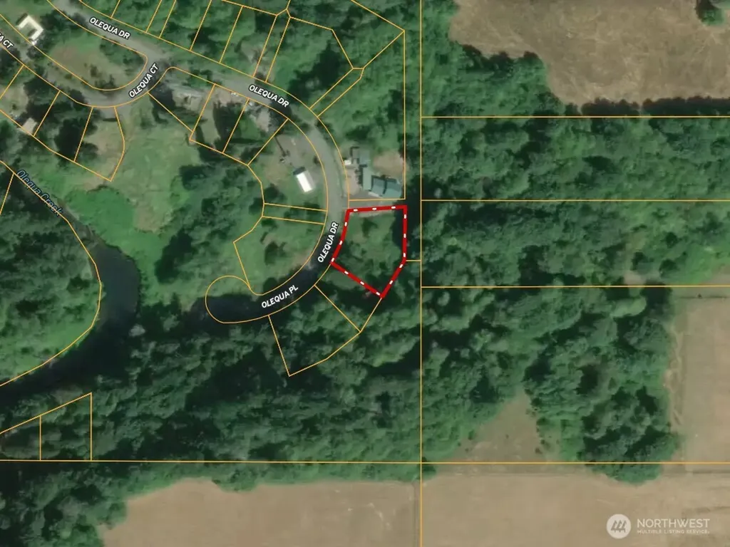 177 Olequa Drive Vader WA 98593