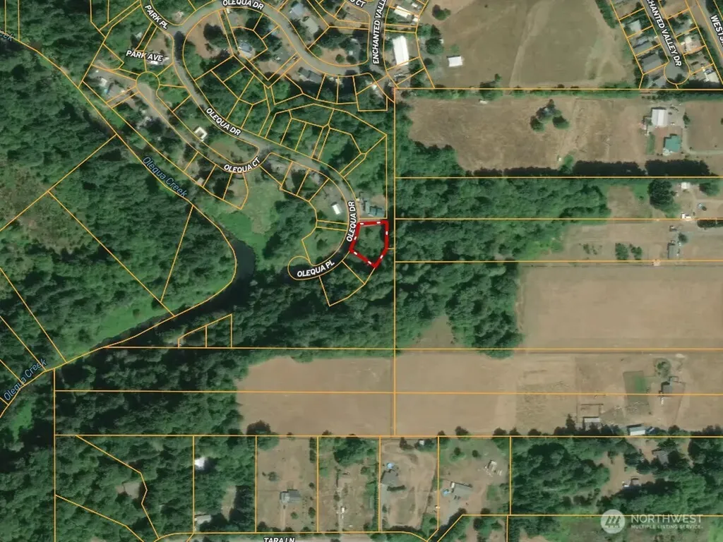 177 Olequa Drive Vader WA 98593