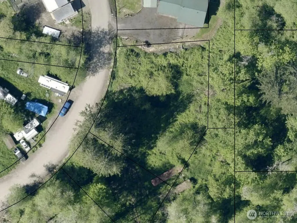 177 Olequa Drive Vader WA 98593