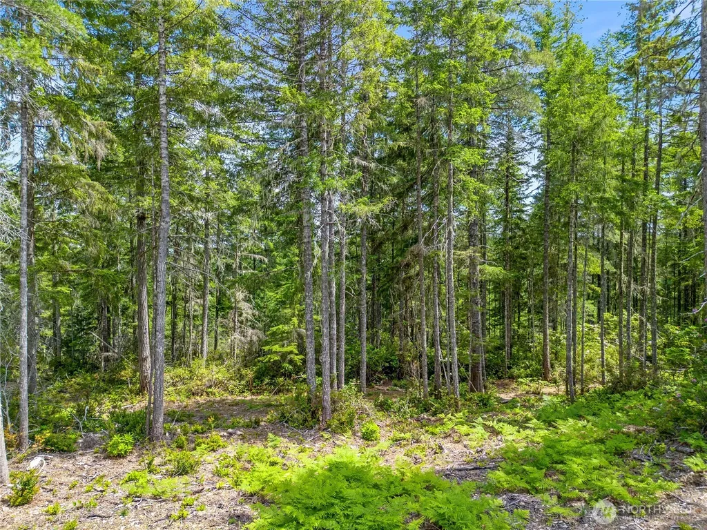 905 NE Tahuya Blacksmith Road Tahuya WA 98588