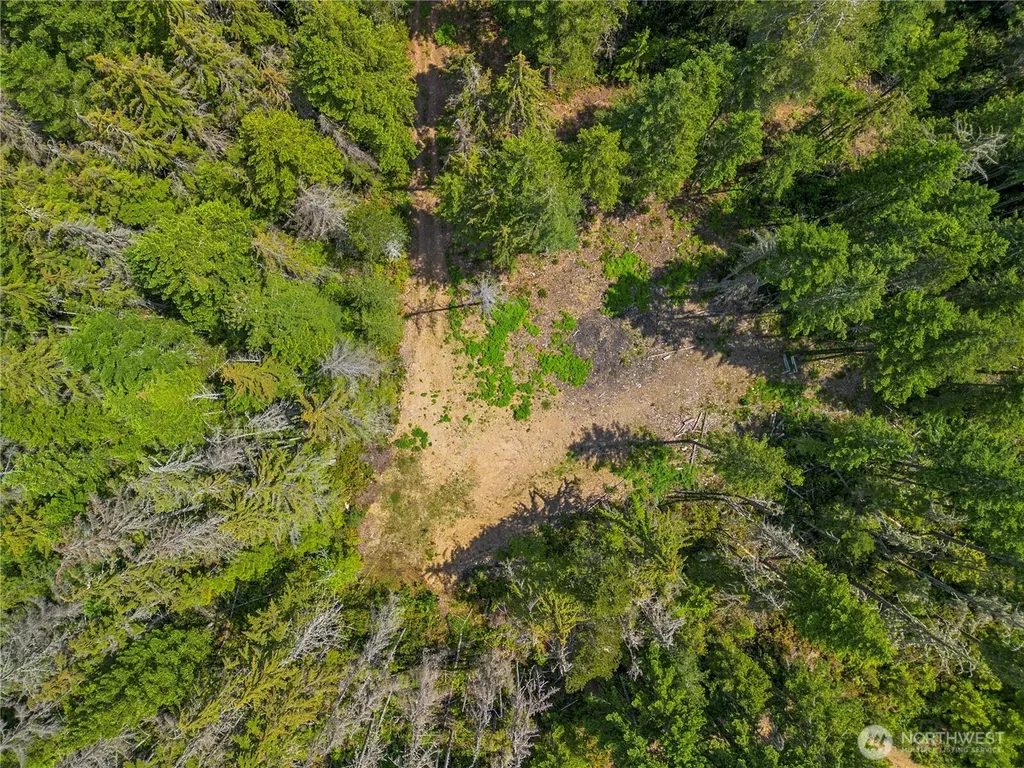 905 NE Tahuya Blacksmith Road Tahuya WA 98588
