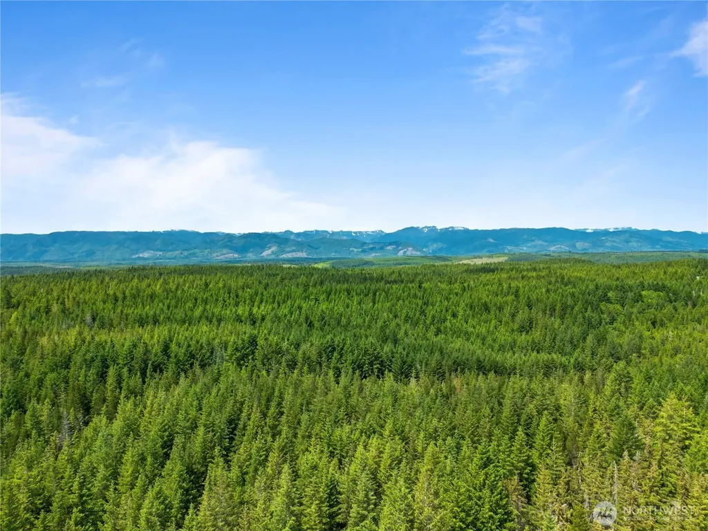 905 NE Tahuya Blacksmith Road Tahuya WA 98588