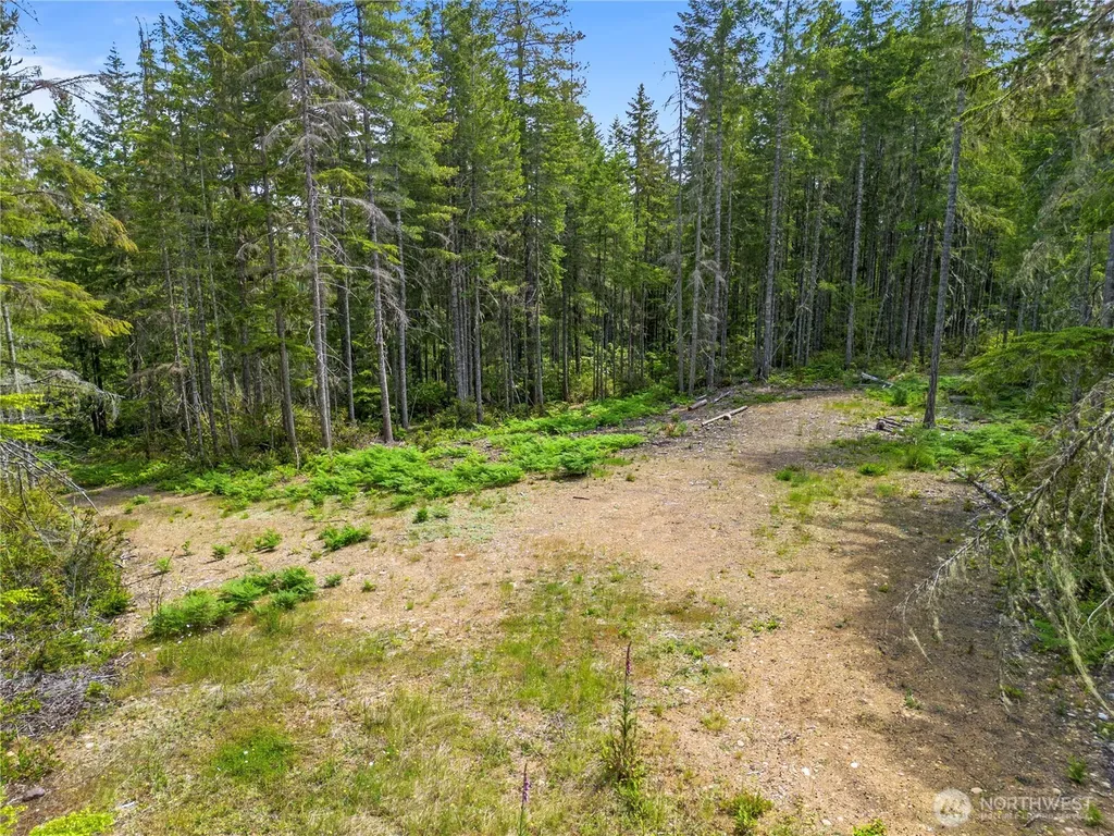 905 NE Tahuya Blacksmith Road Tahuya WA 98588