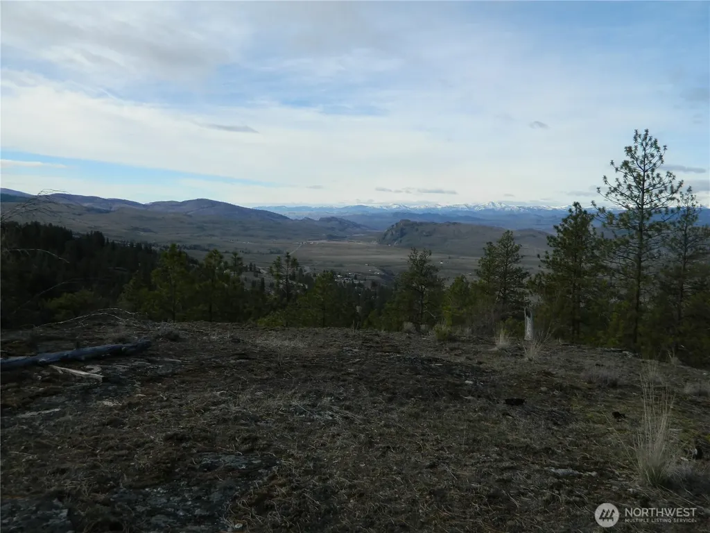 28 Ridgeline Road Tonasket WA 98855