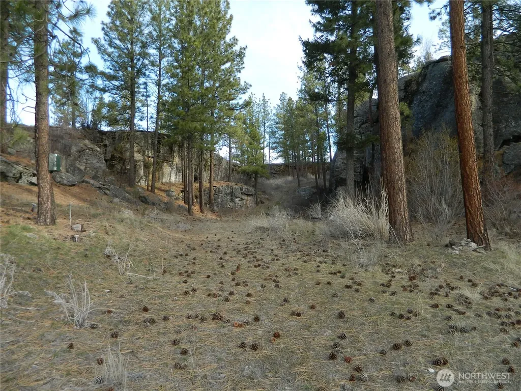 28 Ridgeline Road Tonasket WA 98855
