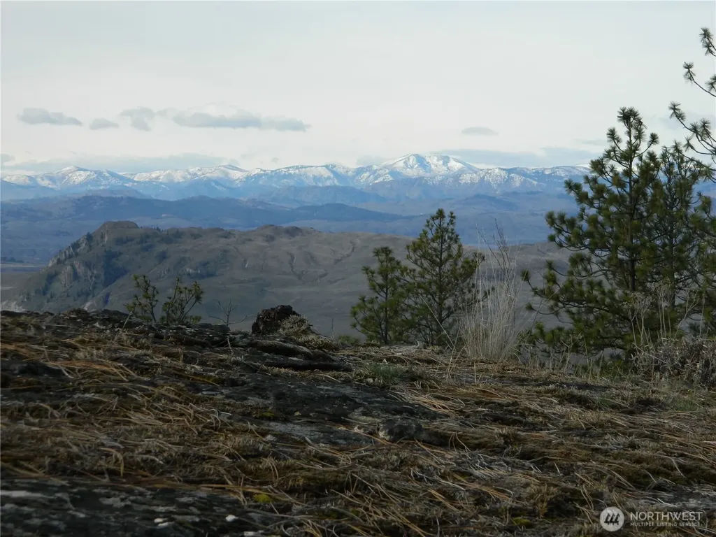 28 Ridgeline Road Tonasket WA 98855