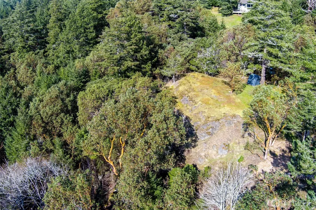7 Spinnaker Lane Friday Harbor WA 98250