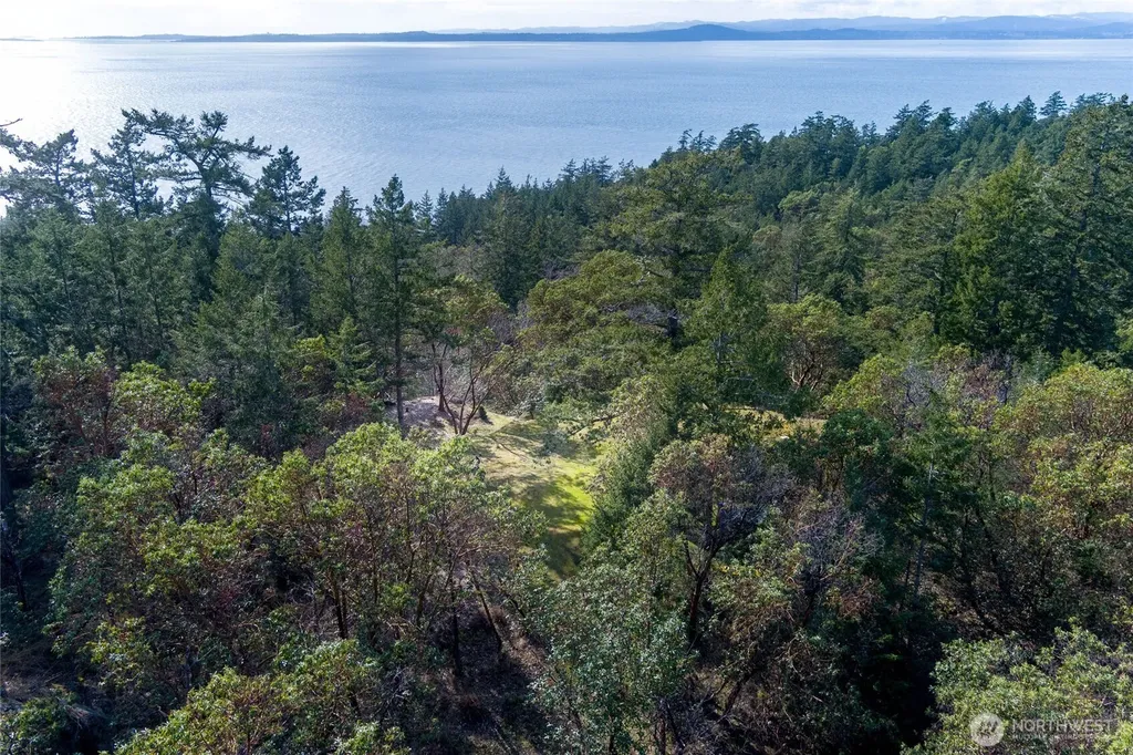 7 Spinnaker Lane Friday Harbor WA 98250