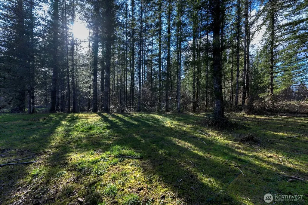 40815 Dorman Road Gold Bar WA 98251